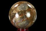 Colorful Petrified Wood Sphere - Madagascar #135652-1
